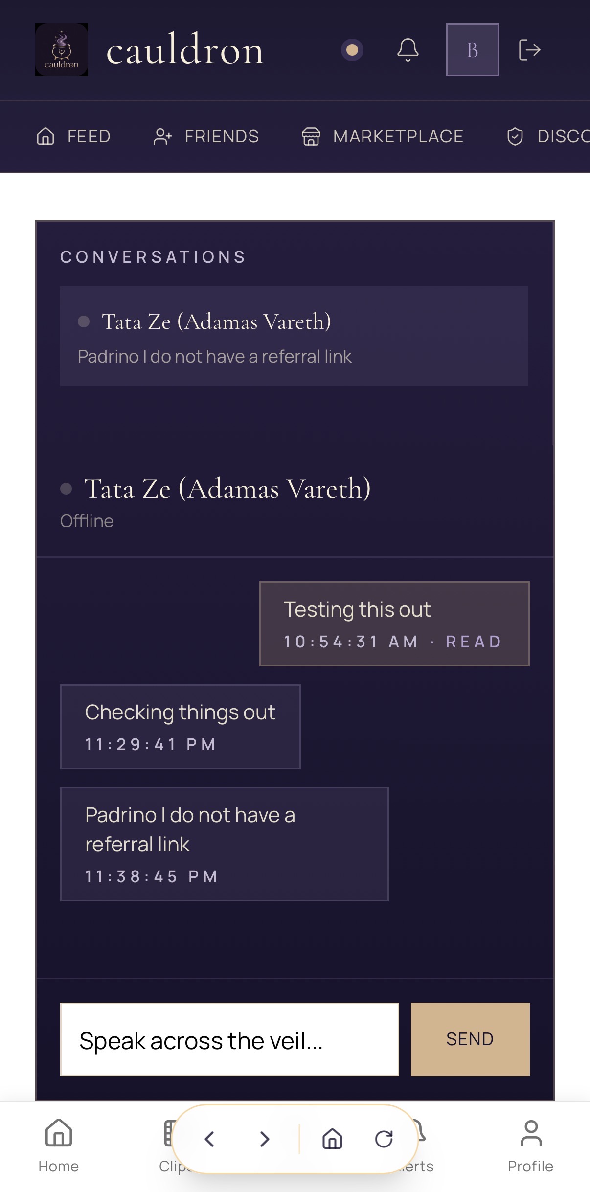 Secure 1:1 messaging between Cauldron seeker and practitioner